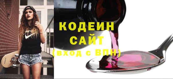молекула духа Богданович