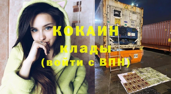 молекула духа Богданович
