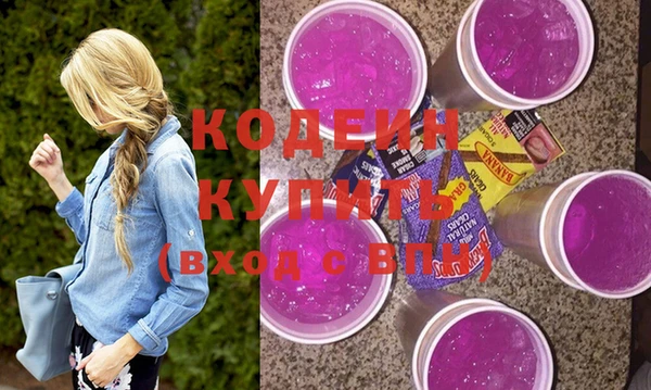 молекула духа Богданович