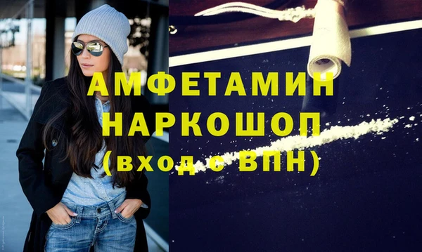 молекула духа Богданович