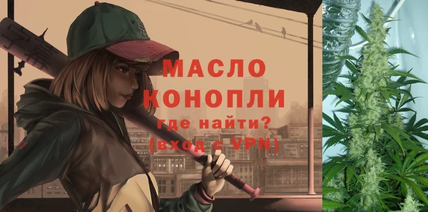 молекула духа Богданович