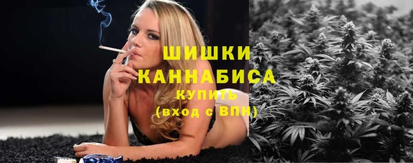 молекула духа Богданович