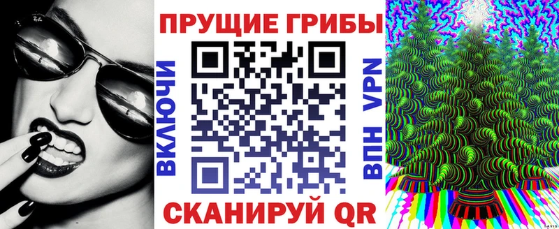 где купить наркоту  Донецк  Псилоцибиновые грибы Psilocybe 