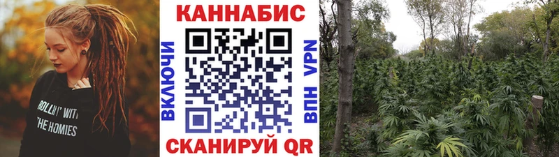 hydra как зайти  Донецк  Бошки Шишки план 
